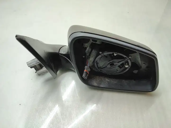 BMW 7 F01 (2008 - 2016) 7176446 Боковое зеркало с электроприводом — фото 1
