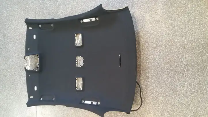 Mercedes-Benz S W221 (2005 - 2013) A2216900050 Потолочная обшивка — фото 1