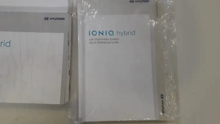 Hyundai Ioniq (2016 - ) Руководство пользователя — фото 3