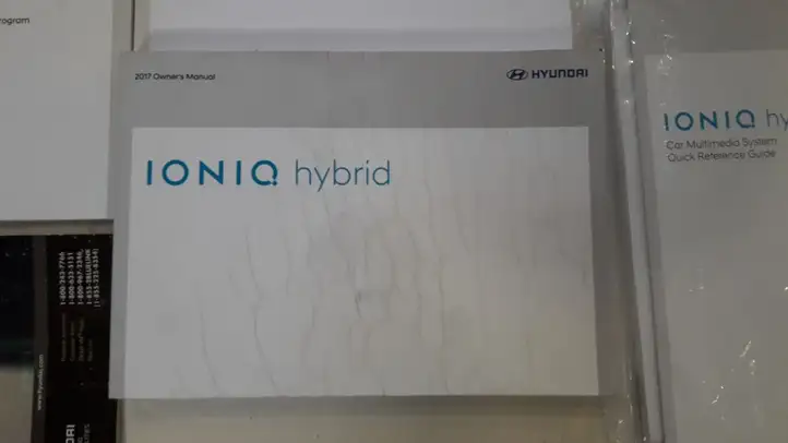Hyundai Ioniq (2016 - ) Руководство пользователя — фото 6