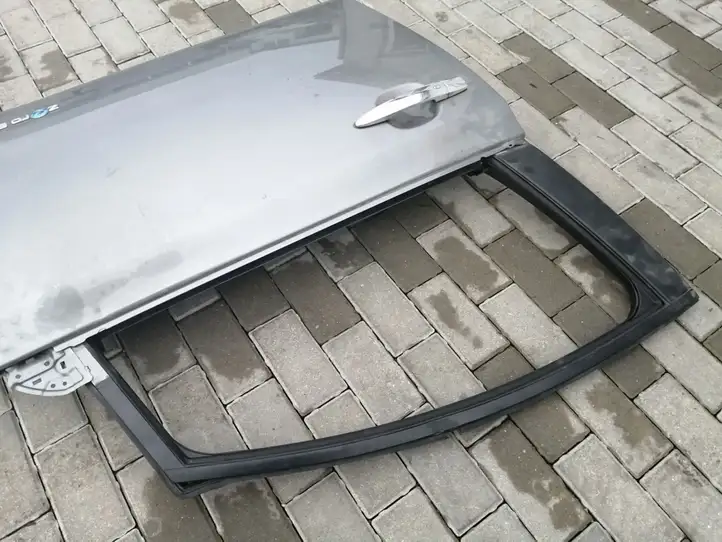 Nissan Leaf I (ZE0) (2010 - 2017) Дверь — фото 9