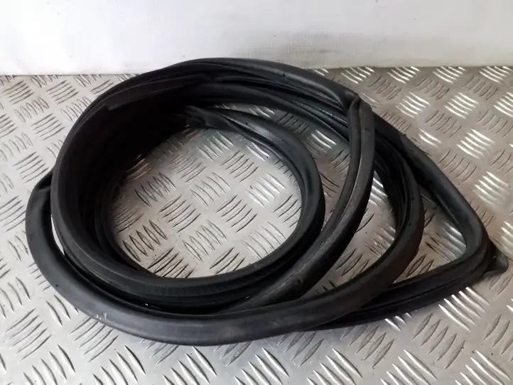 Mitsubishi Grandis (2003 - 2012)   Уплотнительная резина передней двери (на кузове)