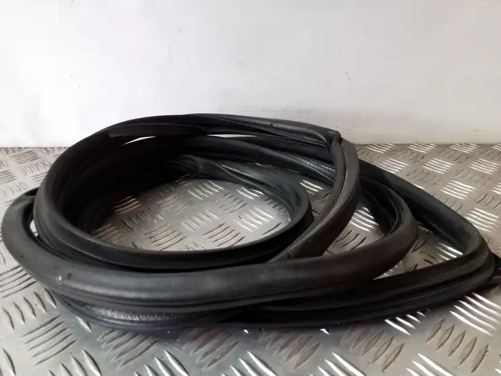 Mitsubishi Grandis (2003 - 2012)   Уплотнительная резина передней двери (на кузове)