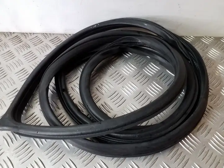 Mitsubishi Grandis (2003 - 2012)   Уплотнительная резина передней двери (на кузове)