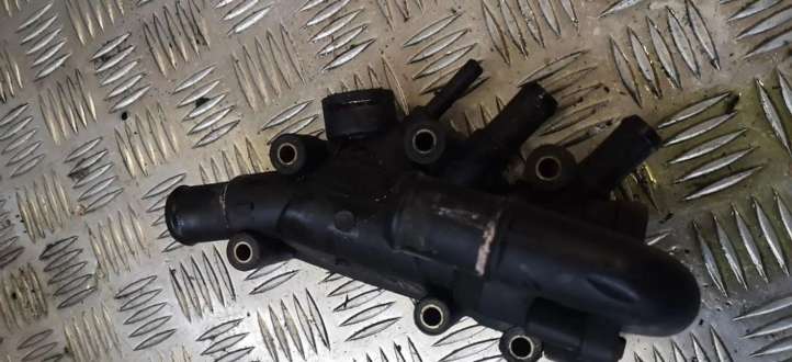 2s6g8250a2b Ford Fiesta Termostatas/ termostato korpusas