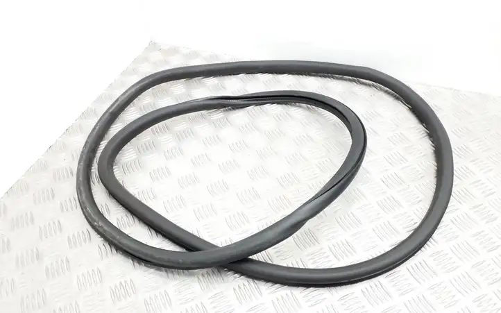 Volkswagen Tiguan (2007 - 2011) 5N0867911 Уплотнитель передней двери (кузов) — фото 1