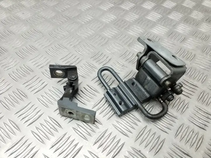 Seat Exeo (3R) (2008 - 2013) 8E0833411E Петли задней двери (комплект) — фото 1