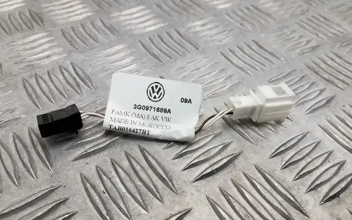 Volkswagen PASSAT B8 (2015 - ) 3G0971689A Проводка задней двери — фото 1