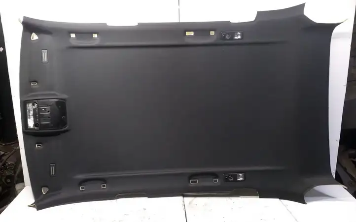 BMW X5 E70 (2006 - 2013) 51626481 Комплект потолочной обшивки — фото 1