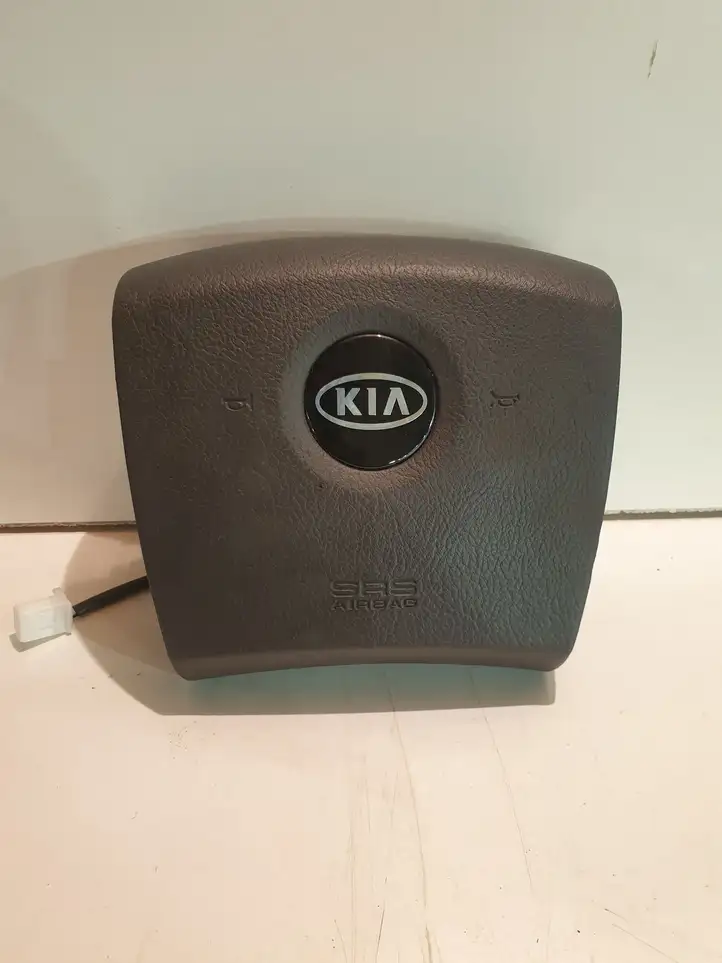 Kia Sorento (2002 - 2006) 569203E000 Подушка безопасности руля — фото 1