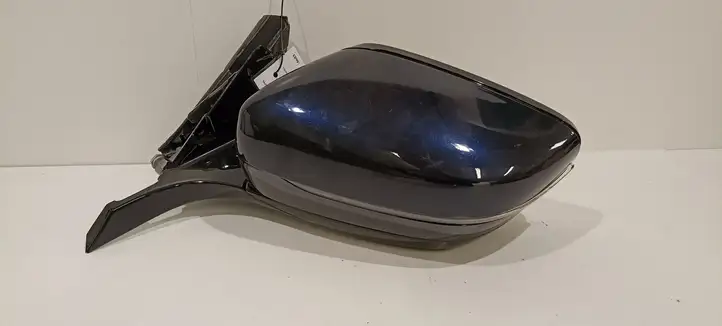 BMW 7 F01 (2008 - 2016) Боковое зеркало с электроприводом — фото 1