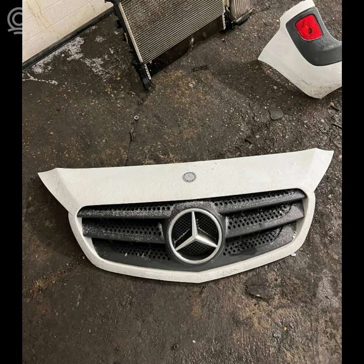 A4158880023 Mercedes-Benz Citan W415 Grotelės priekinės