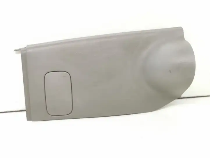 Renault Trafic II (X83) (2002 - 2014) 91166415 Нижняя обшивка стойки B — фото 1