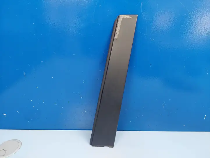 Toyota RAV 4 (XA40) (2012 - 2018) 75076410 Прочая отделка задней двери — фото 1