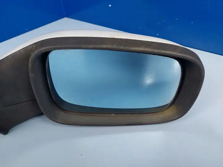 Renault Laguna II (2001 - 2005) 7701049059 Боковое зеркало с электроприводом — фото 10