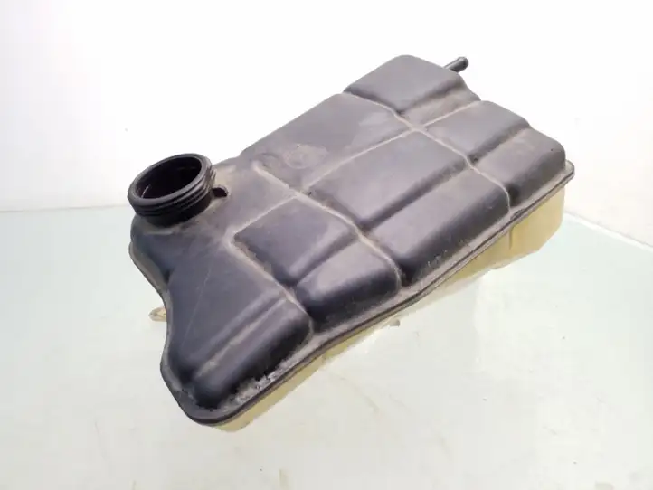 Ford Mondeo Mk III (2000 - 2007) 1S718K218 Расширительный бачок — фото 1