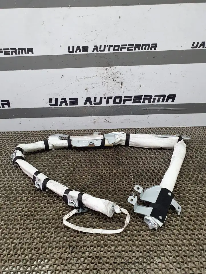 Nissan Juke I F15 (2010 - 2018) 34121066 Боковая подушка безопасности шторка — фото 1