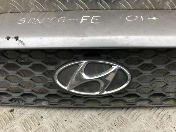 Hyundai Santa Fe Gamintojo ženkliukas