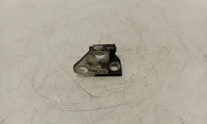 Volkswagen Golf VI (2009 - 2013) Верхняя петля передней двери — фото 2