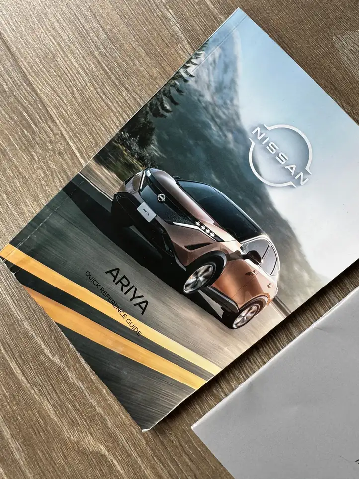 Nissan Ariya (2021 - ) DVCS Руководство пользователя — фото 5