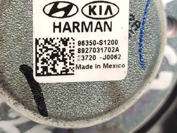 Kia Telluride (2019 - ) 96350-S1200 Рамка центрального динамика — фото 7