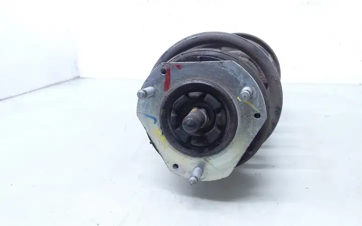 Ford Ecosport (2013 - 2018) MFN1C18B036BB Передняя стойка амортизатора — фото 4
