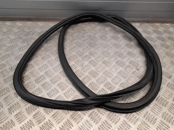 Audi A4 S4 B9 (2015 - 2019) 8W0831721 Уплотнитель передней двери (кузов) — фото 4