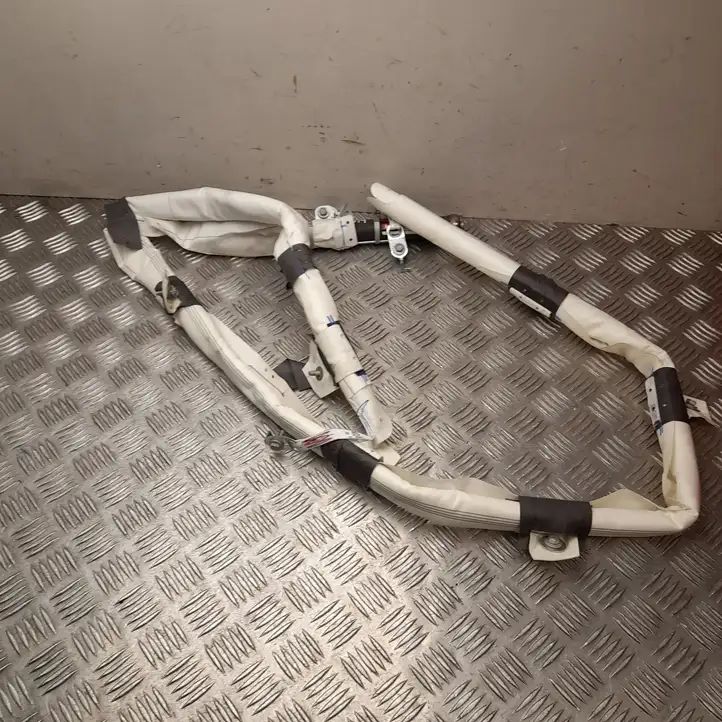 Tesla Model 3 (2017 - 2023) 107782800E Боковая подушка безопасности шторка — фото 2