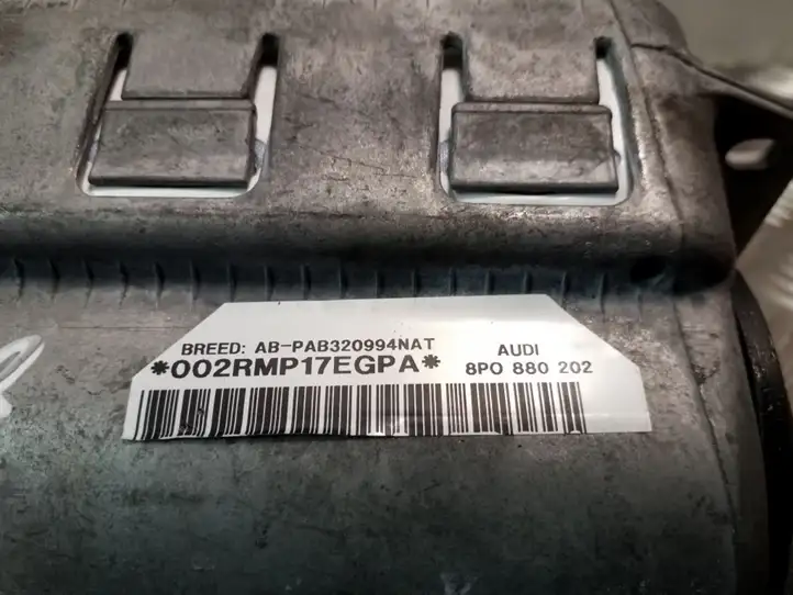 Audi A3/S3 8P (2004 - 2008) 8P0880202 Подушка безопасности пассажира — фото 4