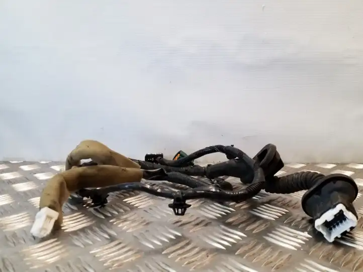 Nissan Juke I F15 (2010 - 2018) 241271KK0A Проводка задней двери — фото 3