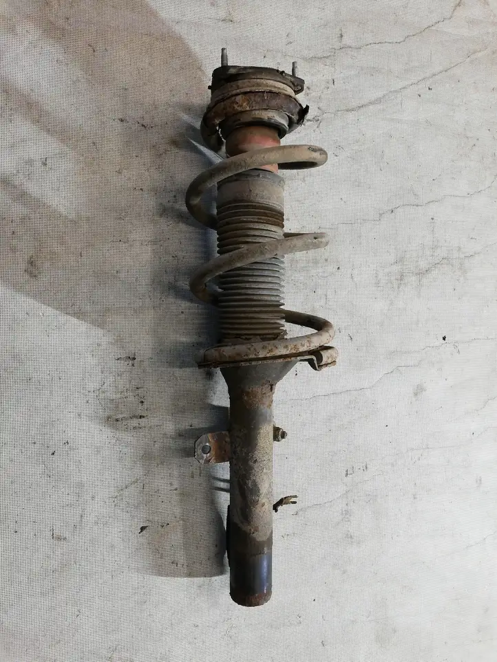 Ford Transit (2000 - 2006) Передняя стойка амортизатора — фото 1