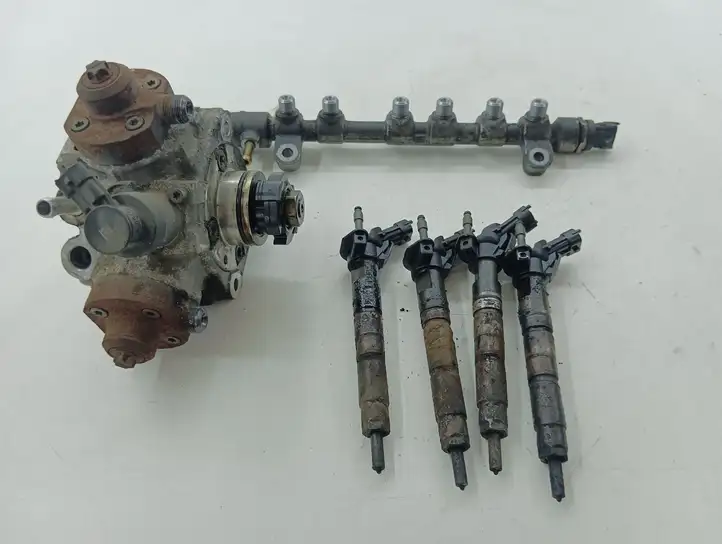 Honda CR-V (2009 - 2012) 0281002966 Комплект системы впрыска — фото 1