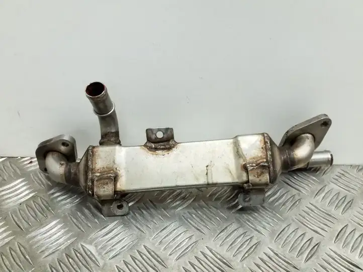 Seat Alhambra (Mk1) (2000 - 2010) 038131513C Охладитель клапана EGR — фото 3