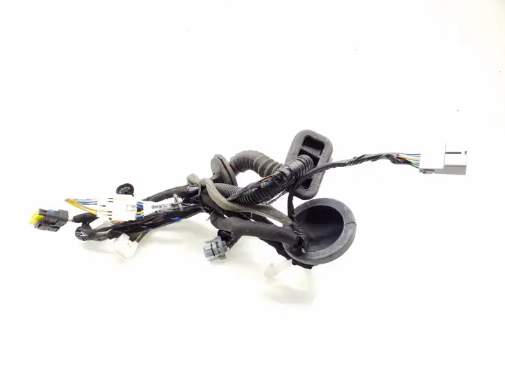 Nissan Qashqai (2006 - 2010) 24125JD06D Проводка передней двери — фото 2