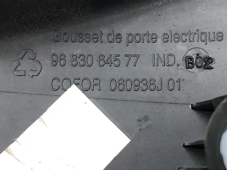 Citroen Berlingo (2008 - 2012) 9683064577 Прочая отделка передней двери — фото 2