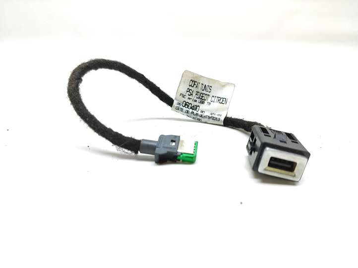 9806049080 Peugeot 308 USB jungtis