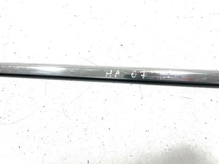 Honda Accord (2003 - 2007) Накладка стекла передней двери — фото 6