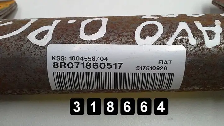 Fiat Bravo (2007 - 2014) 517510920 Боковая подушка безопасности шторка — фото 3