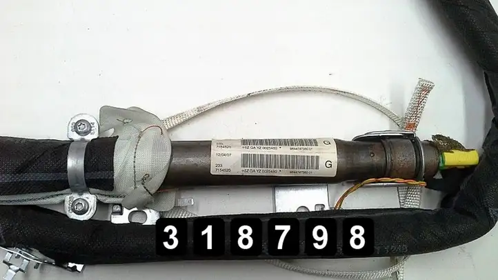 Citroen C6 (2005 - 2012) 9644747380 Боковая подушка безопасности шторка — фото 2