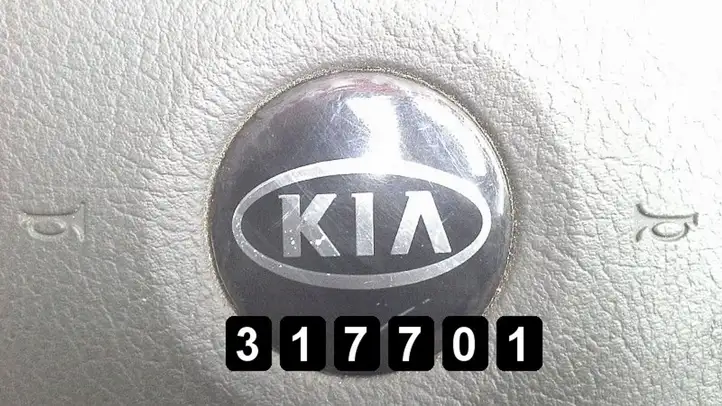 Kia Sorento (2002 - 2006) 569103E010CQ Подушка безопасности руля — фото 2