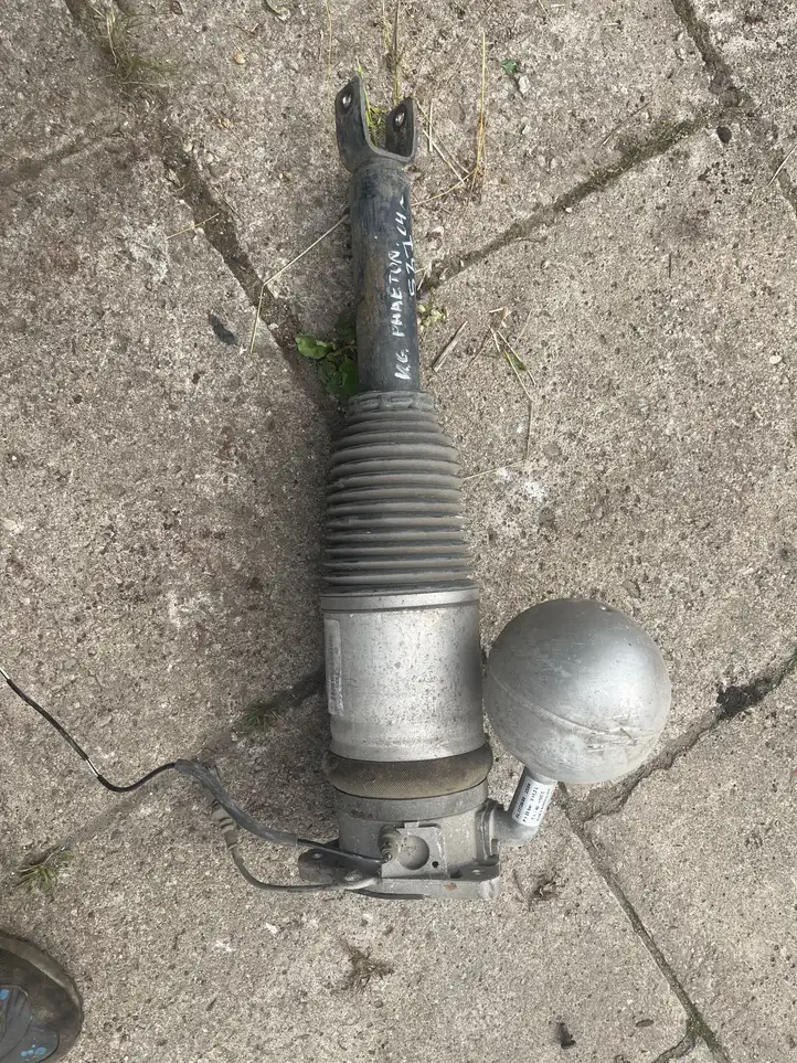 Volkswagen Phaeton (2002 - 2008) 3d0616001h Задний aмортизатор — фото 1