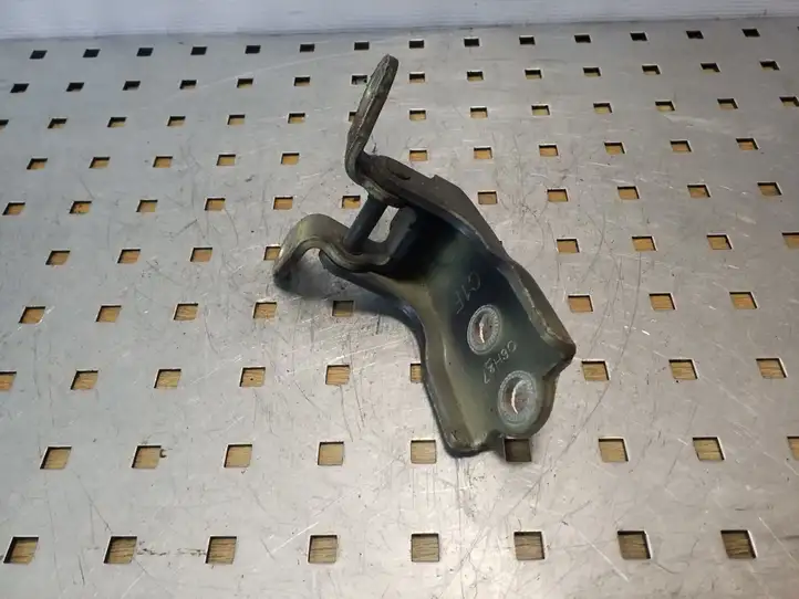 Opel Antara (2006 - 2011) Нижняя петля передней двери — фото 2