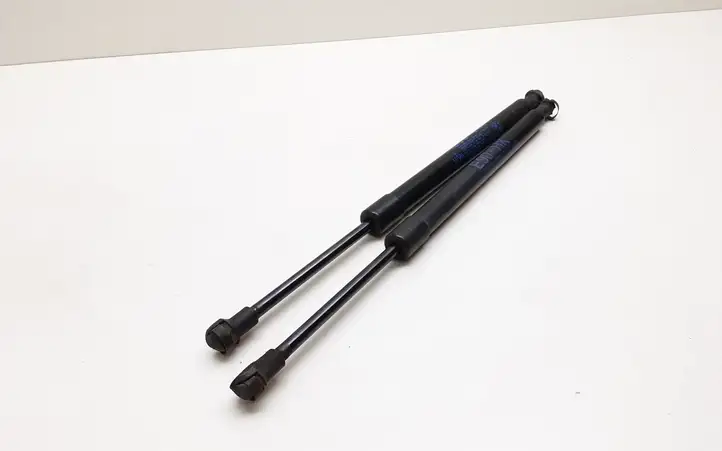 BMW 3 E90 E91 (2005 - 2012) 51247060623 Амортизатор крышки багажника — фото 1