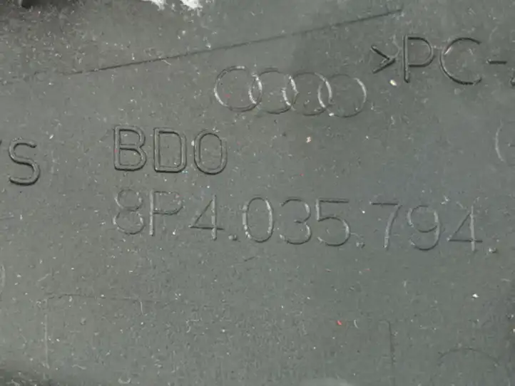Audi A3/S3 8P (2004 - 2008) 8P4035794 Накладка динамика задней двери — фото 3