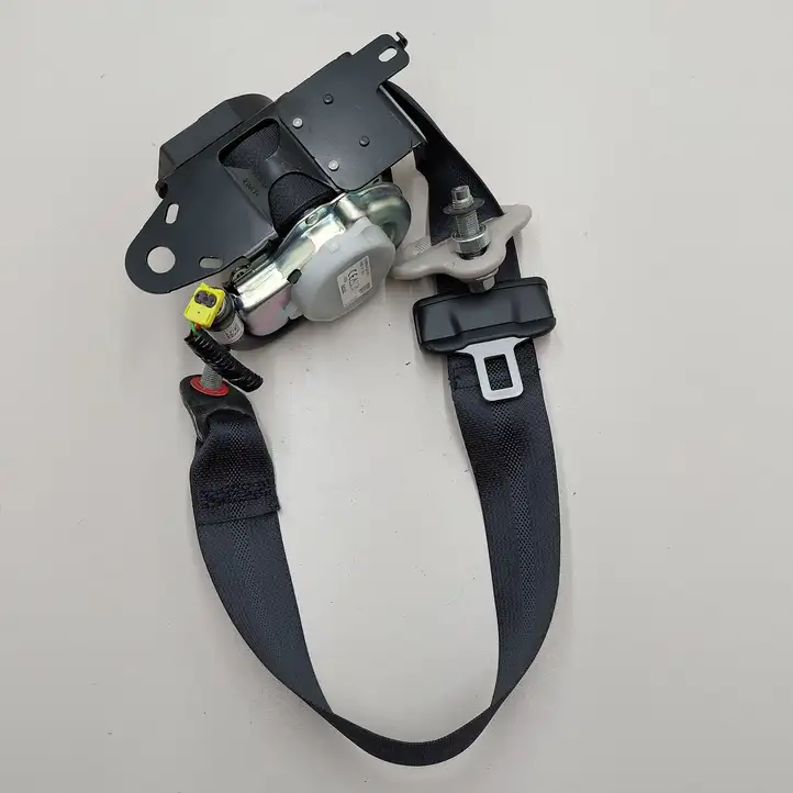 Nissan Leaf II (ZE1) (2017 - )  638265301H Задний ремень безопасности