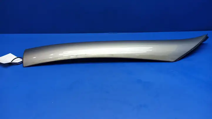 Mercedes-Benz SLK R171 (2005 - 2011) A1716900439 Накладка стоек лобового стекла — фото 1