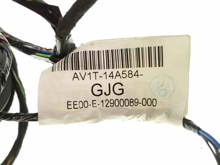 Ford B-MAX (2012 - 2018) AV1T14A584GJG Проводка задней двери — фото 4
