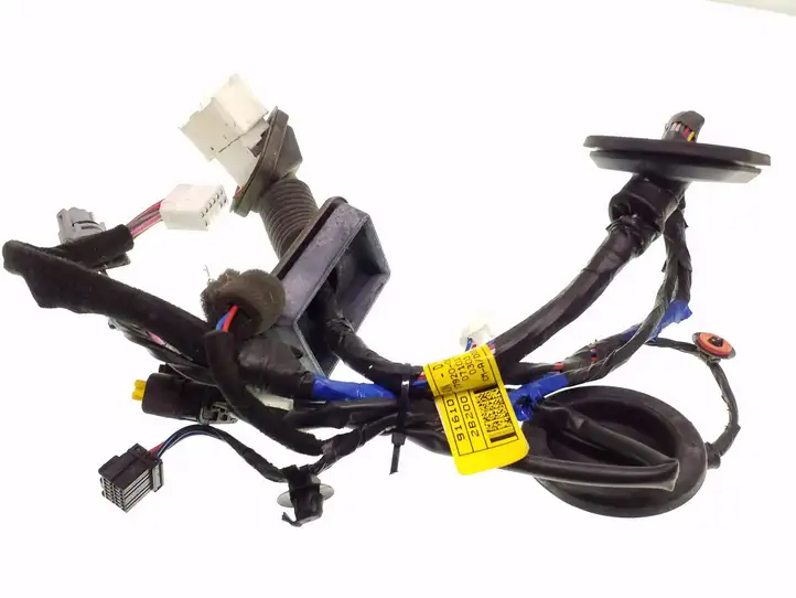 Hyundai Santa Fe (2005 - 2009) 916102B200 Проводка передней двери — фото 1