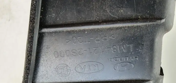 Hyundai ix35 (2009 - 2013) Накладка крыла — фото 4