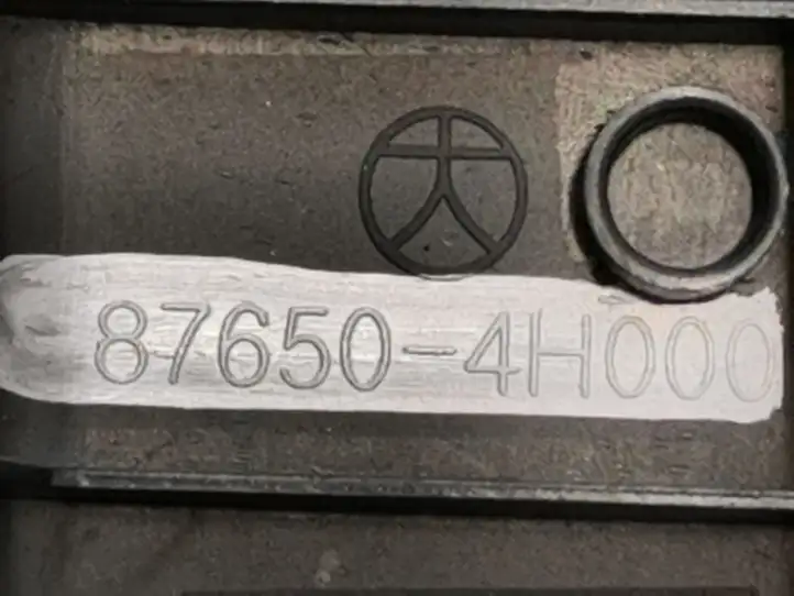 Hyundai H-1, Starex, Satellite (2007 - 2013) 876504H000 Прочая отделка передней двери — фото 4
